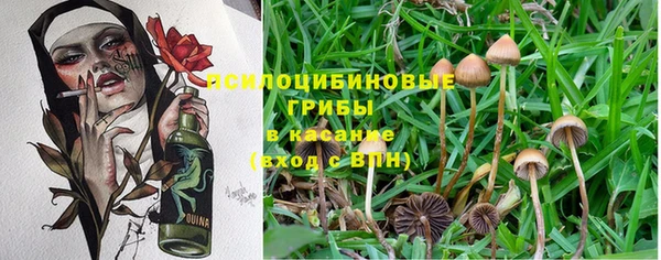 MESCALINE Верея