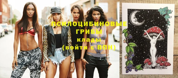МДПВ Богданович